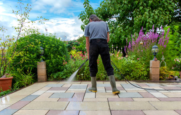 Best Animal Enclosure Cleaning  in Yuba City, CA